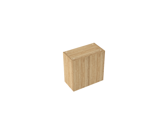 W600-1000mm 2 door Wall Cabinet